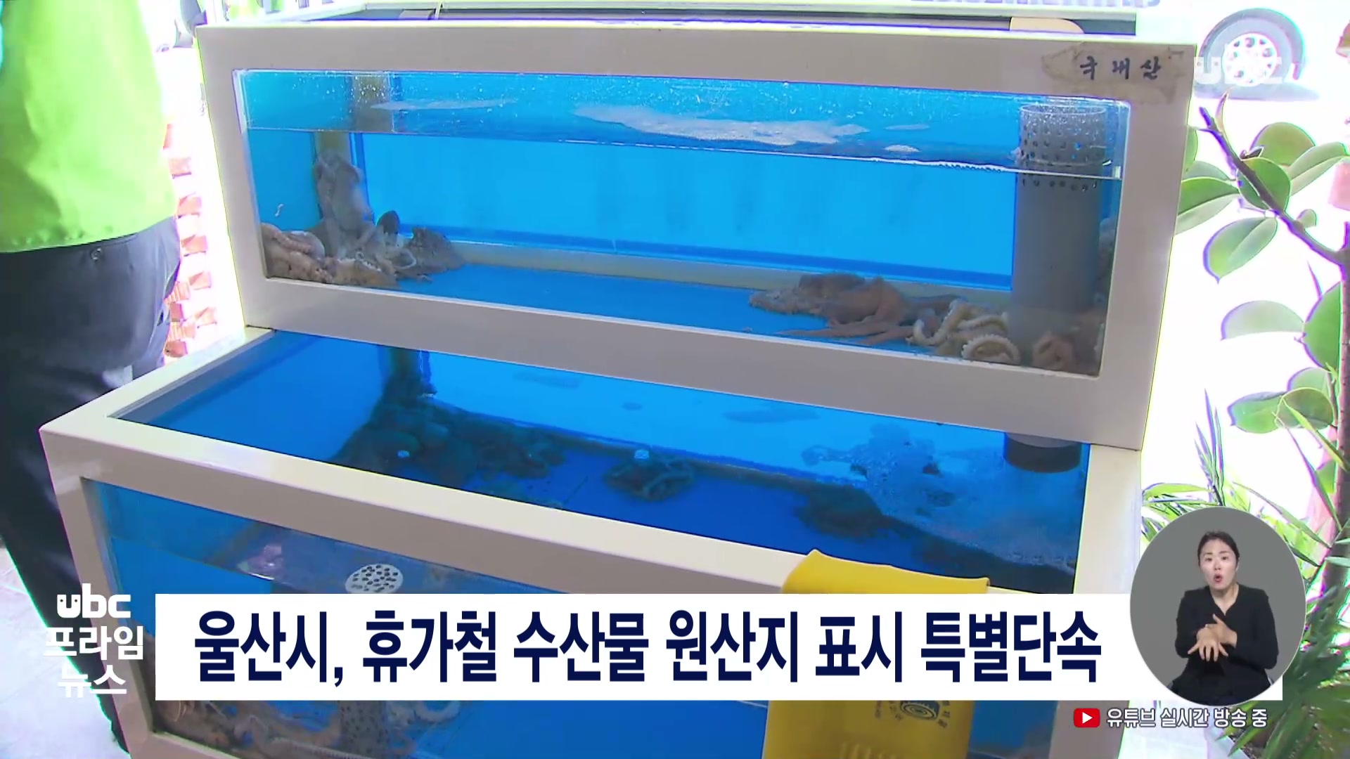 울산시, 휴가철 수산물 원산지 표시 특별단속